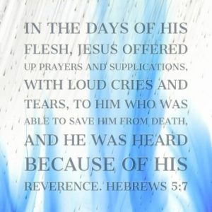 Daily Devotional – Jesus… Afraid? - Heritage Christian Reformed Church